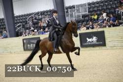 22BUCK_00750 proof