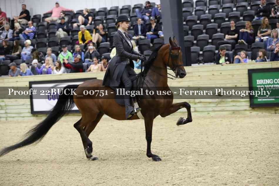 Proof 22BUCK_00751