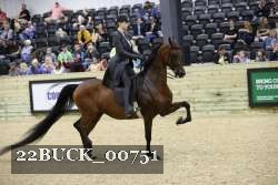 22BUCK_00751 proof