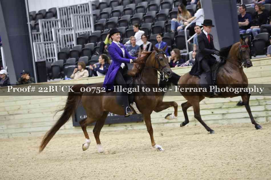 Proof 22BUCK_00752
