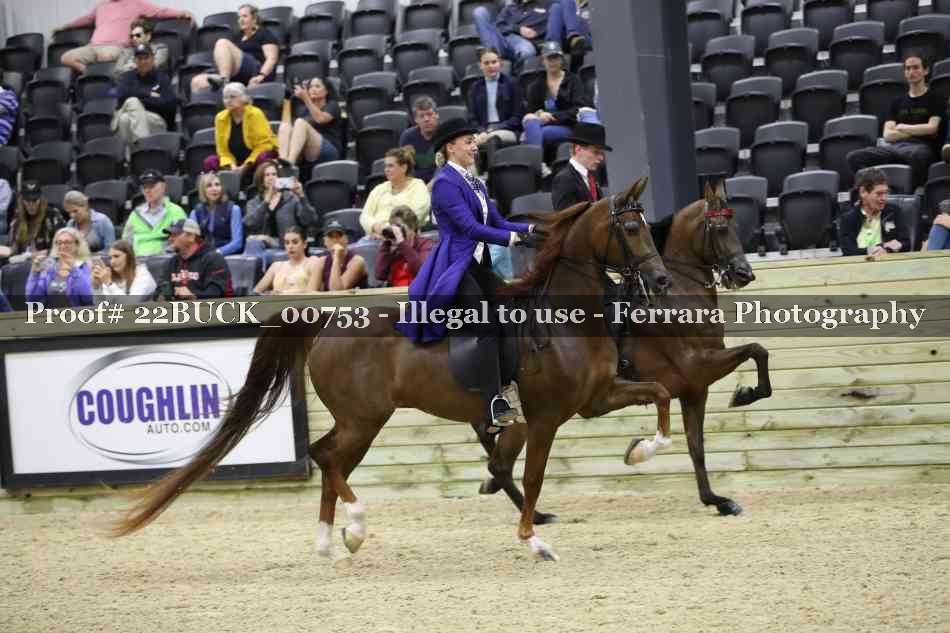 Proof 22BUCK_00753