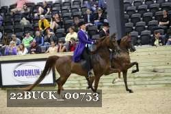 22BUCK_00753 proof