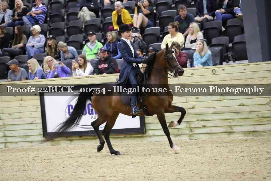 Proof 22BUCK_00754