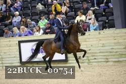 22BUCK_00754 proof