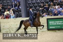 22BUCK_00755 proof