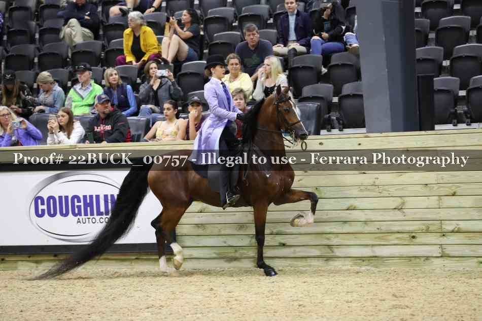 Proof 22BUCK_00757