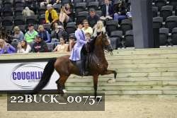 22BUCK_00757 proof