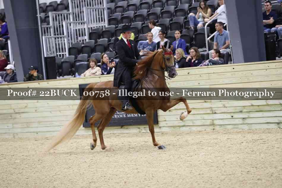 Proof 22BUCK_00758