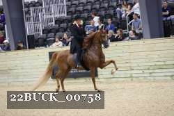 22BUCK_00758 proof