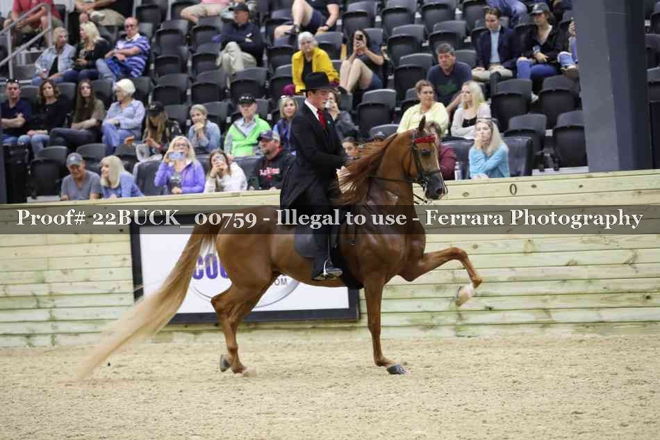 Proof 22BUCK_00759