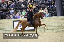 22BUCK_00759 proof