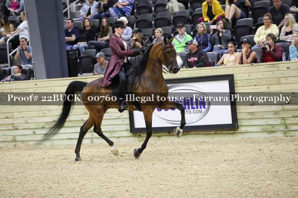 Proof 22BUCK_00760