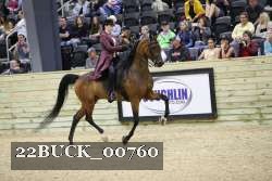 22BUCK_00760 proof