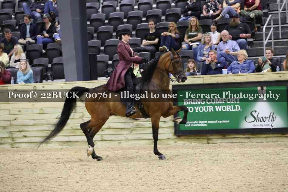 Proof 22BUCK_00761