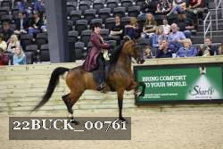 22BUCK_00761 proof