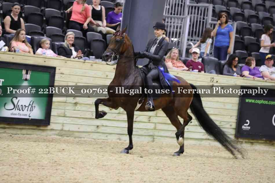 Proof 22BUCK_00762