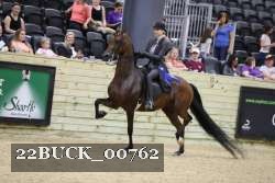 22BUCK_00762 proof