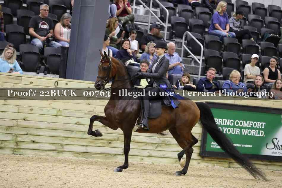 Proof 22BUCK_00763