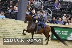 22BUCK_00763 proof