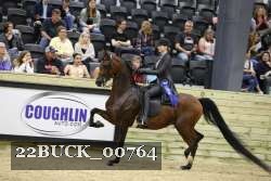22BUCK_00764 proof