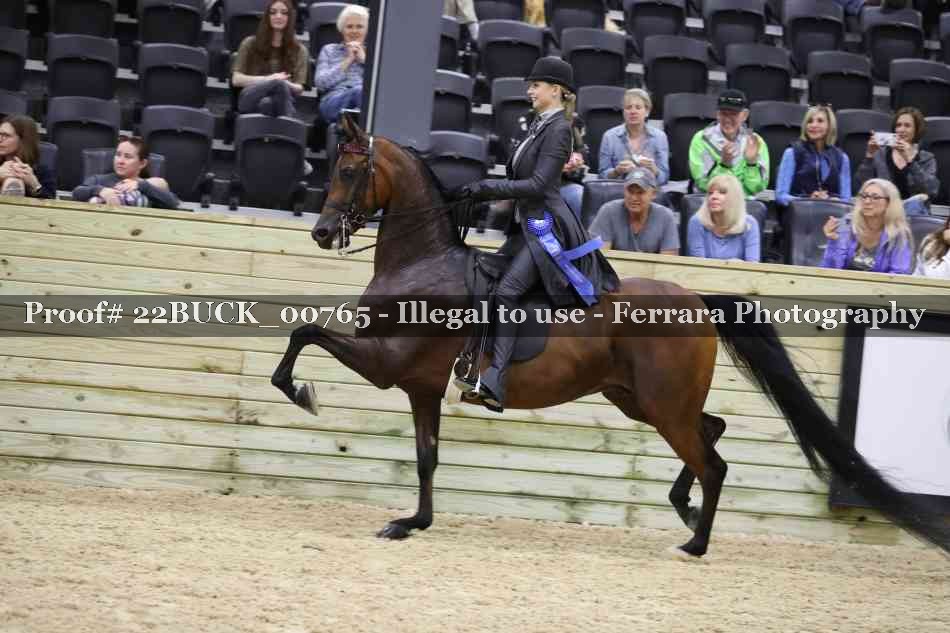 Proof 22BUCK_00765