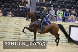 22BUCK_00765 proof