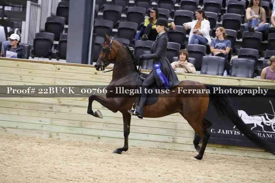 Proof 22BUCK_00766