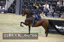 22BUCK_00766 proof