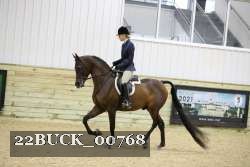 22BUCK_00768 proof