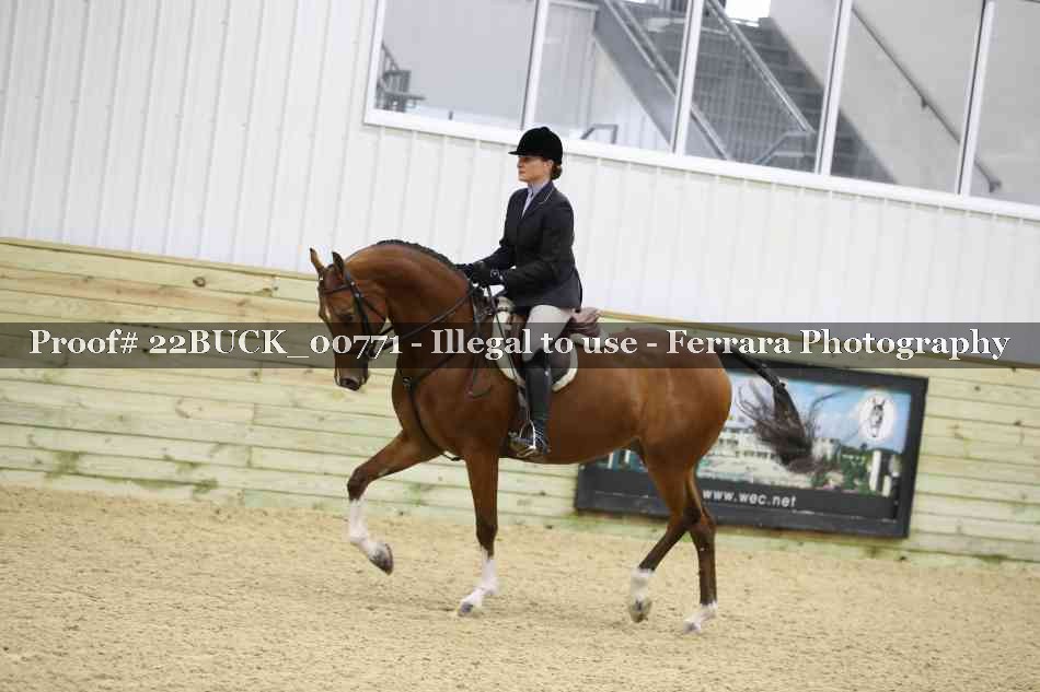 Proof 22BUCK_00771