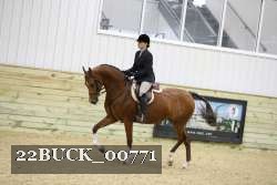 22BUCK_00771 proof