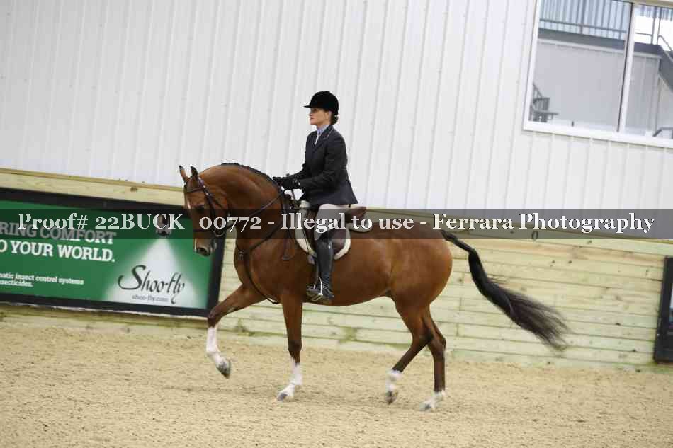 Proof 22BUCK_00772