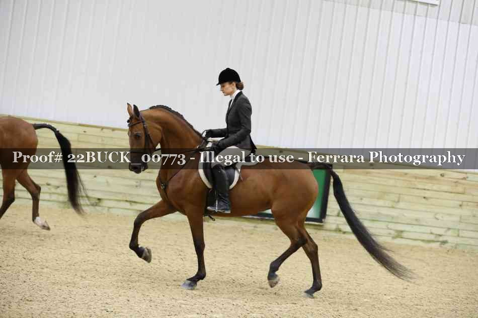 Proof 22BUCK_00773