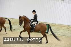 22BUCK_00773 proof