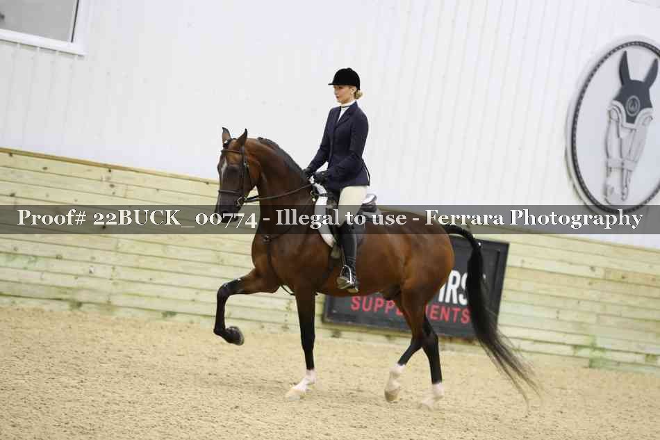 Proof 22BUCK_00774