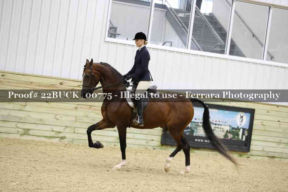 Proof 22BUCK_00775