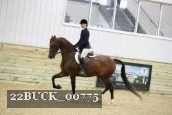 22BUCK_00775 proof