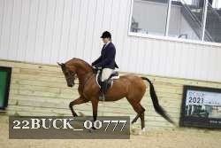 22BUCK_00777 proof