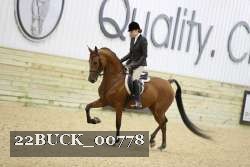 22BUCK_00778 proof