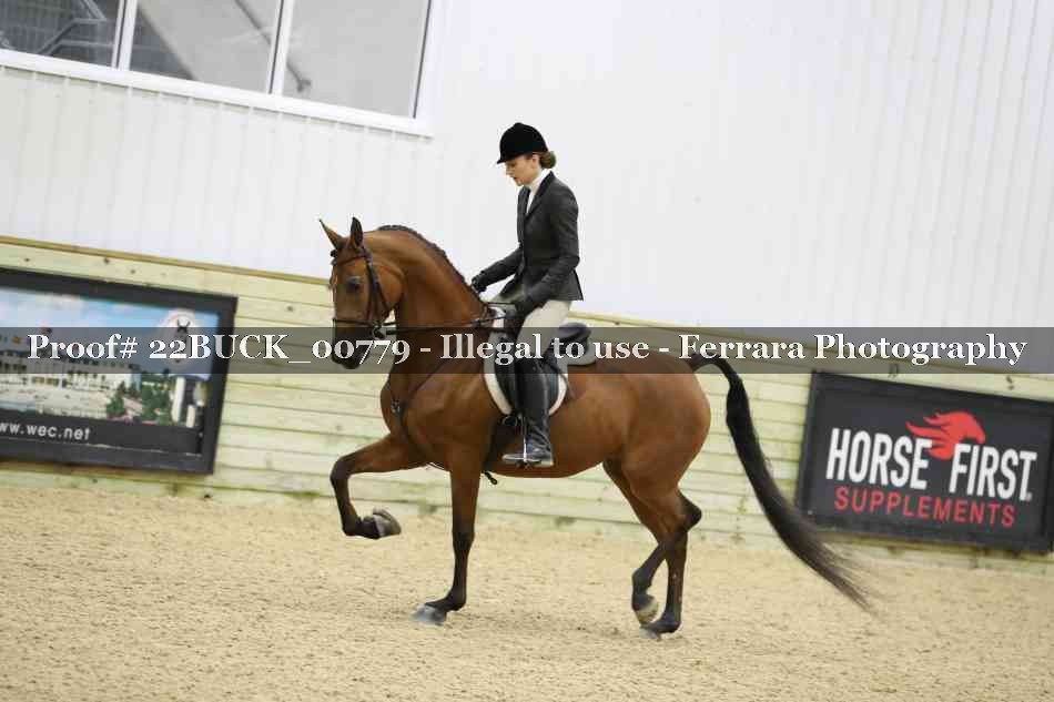 Proof 22BUCK_00779