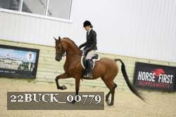22BUCK_00779 proof