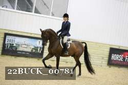 22BUCK_00781 proof