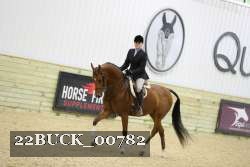 22BUCK_00782 proof