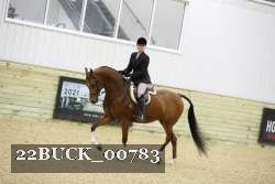 22BUCK_00783 proof