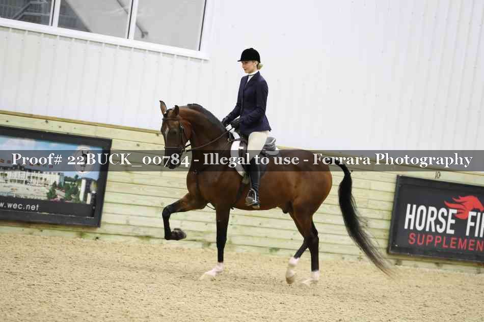 Proof 22BUCK_00784