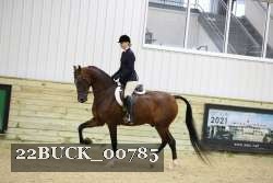 22BUCK_00785 proof