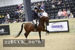 22BUCK_00787 proof