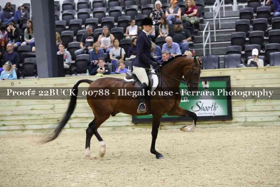 Proof 22BUCK_00788