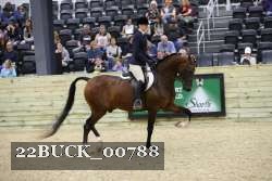 22BUCK_00788 proof