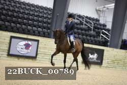 22BUCK_00789 proof